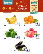 الانتقال إلى الصفحة 3 من 17