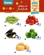 الانتقال إلى الصفحة 4 من 17