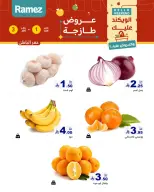 الانتقال إلى الصفحة 5 من 17