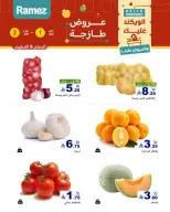 الانتقال إلى الصفحة 13 من 48