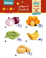 الانتقال إلى الصفحة 17 من 48