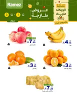 الانتقال إلى الصفحة 2 من 7