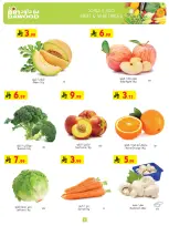 الانتقال إلى الصفحة 3 من 24