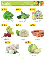 الانتقال إلى الصفحة 2 من 24