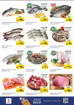 الانتقال إلى الصفحة 17 من 26