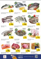 الانتقال إلى الصفحة 16 من 29