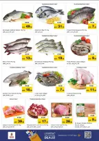 الانتقال إلى الصفحة 19 من 42