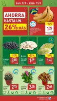 ALDI Spain Offers from 5 to 11 January 2026 How little it costs to buy well!