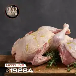 الانتقال إلى الصفحة 2 من 7