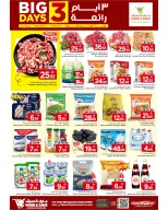 الانتقال إلى الصفحة 5 من 6