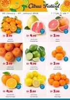 Trolleys supermarket UAE Offers from 2 to 7 January 2026 Happy New Year offers