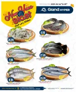 الانتقال إلى الصفحة 4 من 20