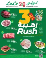 الانتقال إلى الصفحة 4 من 5