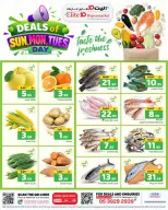 Ofertas de Hipermercado Elite10 Arabia Saudita de 4 a 6 enero 2026 Oferta solo por 3 días