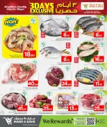 الانتقال إلى الصفحة 4 من 5