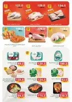 الانتقال إلى الصفحة 77 من 81