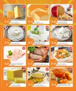 الانتقال إلى الصفحة 14 من 19