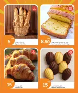 الانتقال إلى الصفحة 15 من 19