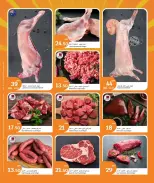 الانتقال إلى الصفحة 12 من 19