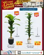 Meem Market  Egaila  Offers from 1 to 10 January Grand Opening Offers - Page 37