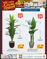 Meem Market  Egaila  Offers from 1 to 10 January Grand Opening Offers - Page 38