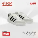 الانتقال إلى الصفحة 3 من 44