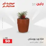الانتقال إلى الصفحة 34 من 44