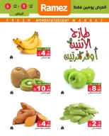 الانتقال إلى الصفحة 2 من 5