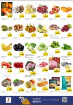 الانتقال إلى الصفحة 2 من 5