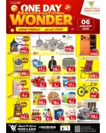 الانتقال إلى الصفحة 1 من 1