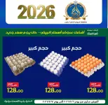 Ofertas de Hipermercado Aldoneia Bkheir Egipto de 6 a 20 enero 2026 Venta de año nuevo