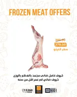 الانتقال إلى الصفحة 3 من 16