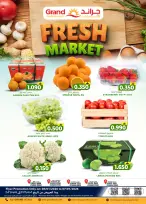 الانتقال إلى الصفحة 1 من 1