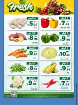 الانتقال إلى الصفحة 14 من 14