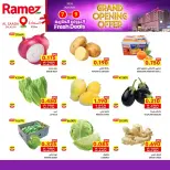 الانتقال إلى الصفحة 7 من 8