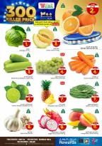 الانتقال إلى الصفحة 2 من 36