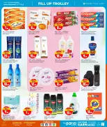 الانتقال إلى الصفحة 5 من 8