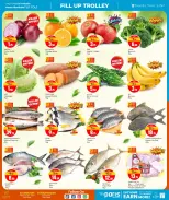 الانتقال إلى الصفحة 2 من 8