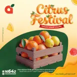 الانتقال إلى الصفحة 1 من 17