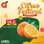 الانتقال إلى الصفحة 4 من 17