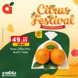 الانتقال إلى الصفحة 16 من 17