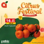 الانتقال إلى الصفحة 6 من 17