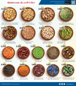 الانتقال إلى الصفحة 16 من 37