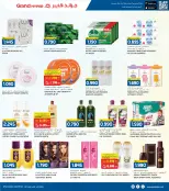 الانتقال إلى الصفحة 22 من 37