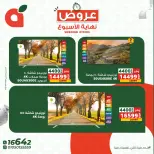 الانتقال إلى الصفحة 6 من 6