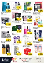 الانتقال إلى الصفحة 15 من 43