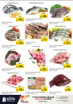 الانتقال إلى الصفحة 26 من 43