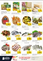 الانتقال إلى الصفحة 18 من 40