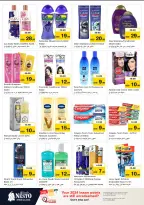 الانتقال إلى الصفحة 13 من 31