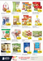 الانتقال إلى الصفحة 16 من 31